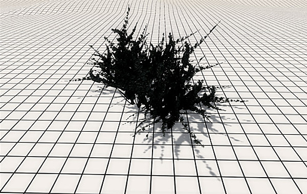 afghan vegetation 24 tree 3d max - 24 Afghan Vegetation Models by pure3dviz